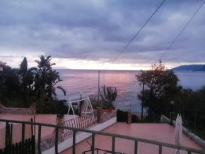 Dreams view